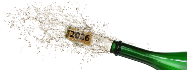 Silvester 606