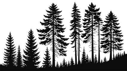 Obraz premium Vector illustration silhouette of evergreen trees, creating a serene forest landscape with varying heights and shapes