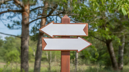 Navigate your journey with a rustic wooden sign pointing the way in a vibrant forest adventure