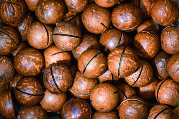 Someone macadamia nuts