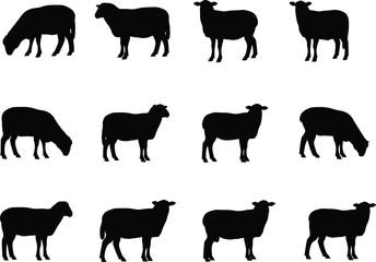 Sheep Silhouettes Set: Various Poses, Grazing, Standing, Farm Animal, Livestock, Wool, Agriculture, Nature, Black Vector Illustration Collection.