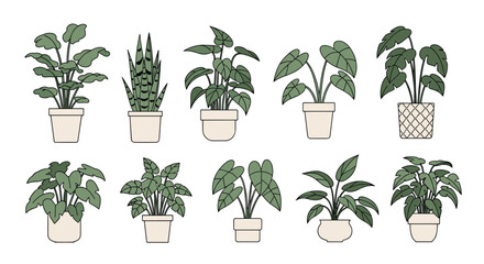 A diverse collection of modern flat design green potted houseplants, perfect for home and office decor projects.