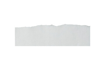 Ripped Paper Texture