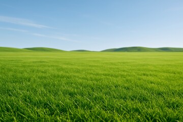 Obraz premium Wide green grass field under blue sky with distant rolling hills and natural daylight, ideal peaceful nature landscape concept background image. Ai generative