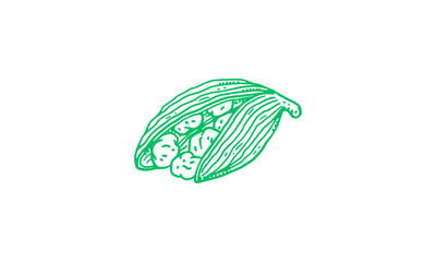 Elegant hand-drawn green cardamom pod illustration, highlighting its open form and flavorful seeds, an essential graphic for culinary spice designs and natural food concepts