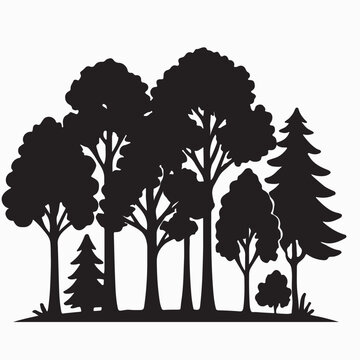 Forest Trees Silhouette Landscape