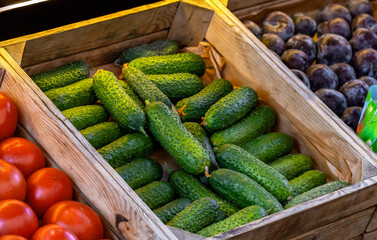 Fresh organic cucumbers. Cucumbers at the market. Farmers' market with fresh fruits and vegetables. Colorful display of seasonal products for retail sale. Fruits and vegetables at the market.