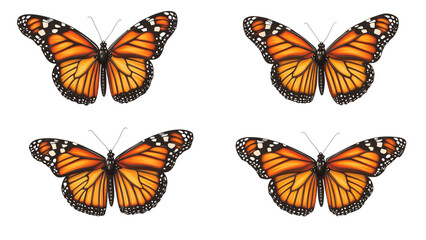 Obraz premium Four vibrant monarch butterflies displayed against a transparent background