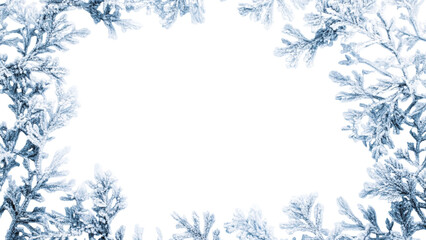 Delicate silver dusty miller leaves forming a natural border around a transparent center