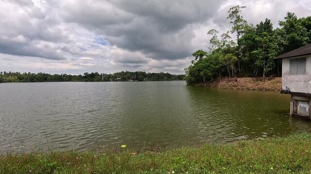 Lake and nature, 4k