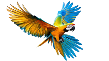 Vibrant macaw parrot soars through the air with wings spread wide