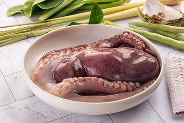 Gourmet luxury raw wild octopus