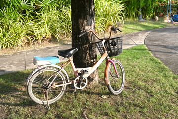 An old bicycle under a tree in a park.