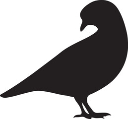 Fototapeta premium Pigeon Dove Silhouette Vector – Standing Bird Icon Isolated on White