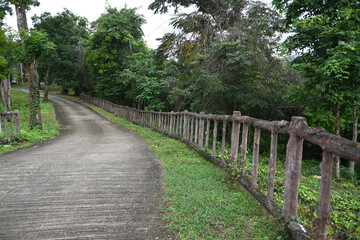 Curved path with wooden fence in green park.