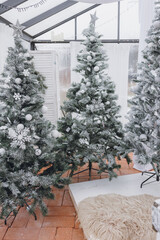 white snow on a christmas tree. christmas decorations. winter holiday concept. new year 's christmas. winter background. christmas tree. winter holidays