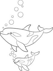 Black and white line art coloring page. Marine wild animals.A cute mother orca and her happy calf smiling at each other while swimming. Whale killer.
