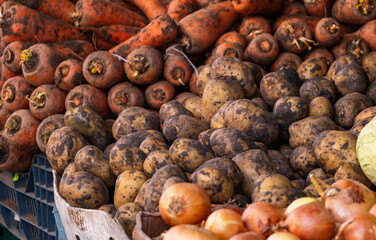 Potatoes. Fresh organic potatoes at the grocery store. Farmers' market with fresh fruits and vegetables. Colorful display of seasonal produce for retail sale. Fruits and vegetables at the market.