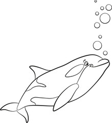 Black and white line art coloring page. Marine wild animals. A cute killer whale swimming peacefully in the ocean. Friendly orca illustration.