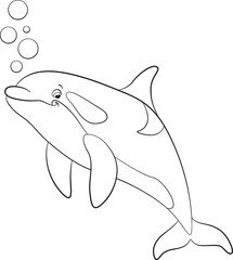 Black and white line art coloring page. Marine wild animals. A cute killer whale swimming peacefully in the ocean. Friendly orca illustration.