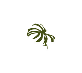 palm tree vector illustration