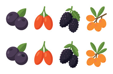 Vibrant collage of acai, goji, blackberry, and sea buckthorn berries