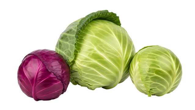 Vibrant collection of fresh organic green and red cabbage heads displaying healthy natural produce perfect for nutritious culinary creations and wholesome eating on a transparent background
