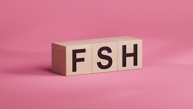 The word FSH is written on wooden cubes. Medical concept.close up of wooden cubes,Business Concept.3D rendering.