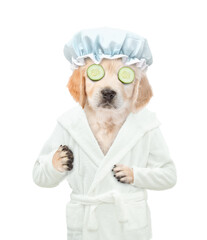 Funny Golden retriever puppy wearing bathrobe with pieces of cucumber on it eyes with shower cap on it head. Isolated ob white background