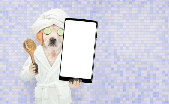 Funny Golden retriever puppy with towel on it head and with a piece of cucumber on it eyes showing big smartphone with white blank screen in it paw. Empty space for text - Powered by Adobe