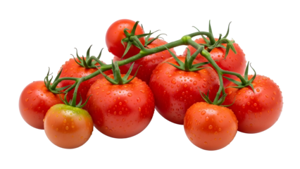 Vibrant fresh organic vine ripe red tomatoes with refreshing water droplets showcasing natural healthy garden produce ready for culinary use on a transparent background