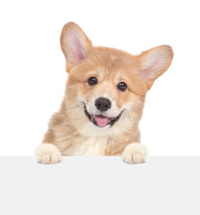 Happy Red Pembroke Welsh Corgi puppy looking above blank banner. isolated on white background.