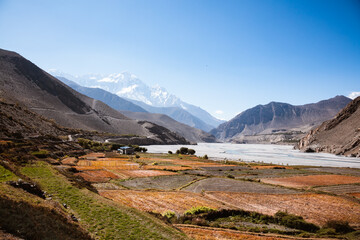Cultivated fields, Upper Mustang region, Nepal