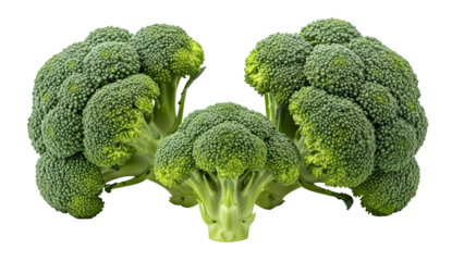 Vibrant fresh green broccoli florets showcasing healthy organic vegetables for nutritious cooking and wholesome dietary eating transparent background