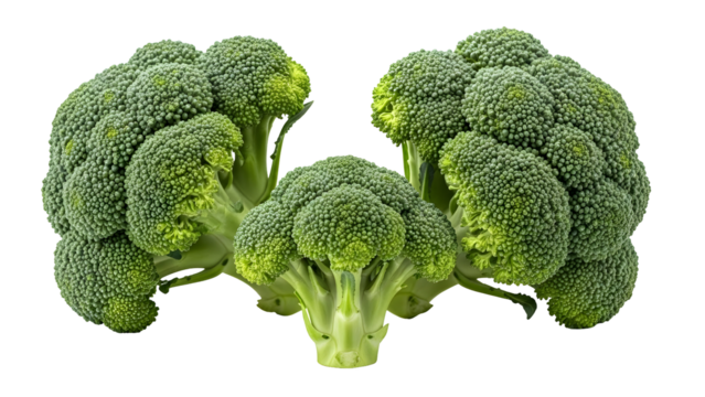 Vibrant fresh green broccoli florets showcasing healthy organic vegetables for nutritious cooking and wholesome dietary eating transparent background