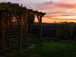 Autumn golden sunset, English cottage garden with wooden pagoda covered in clematis rustic setting with warm sunlight. Utopia Wooden Pergola, dining or seating area.