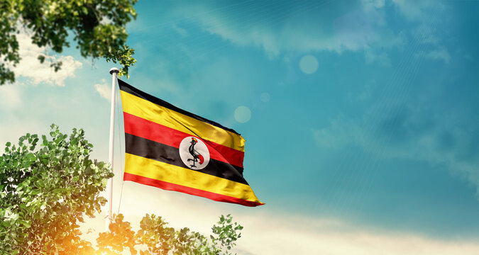 Uganda national flag waving in the sky behind the tree. The flag blowing with beautiful sunlight. Uganda national flag for independence day.