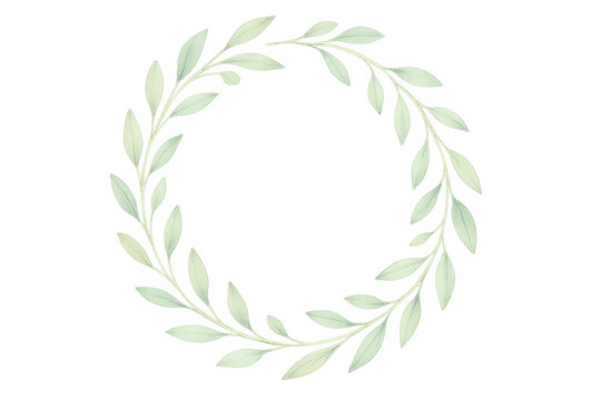 Watercolor green leaves wreath with transparent background