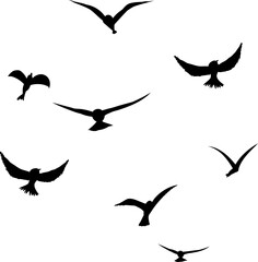 Flying flock of birds silhouette, Simple swallows in flight, crows in the sky. Group of birds border. Vector illustration