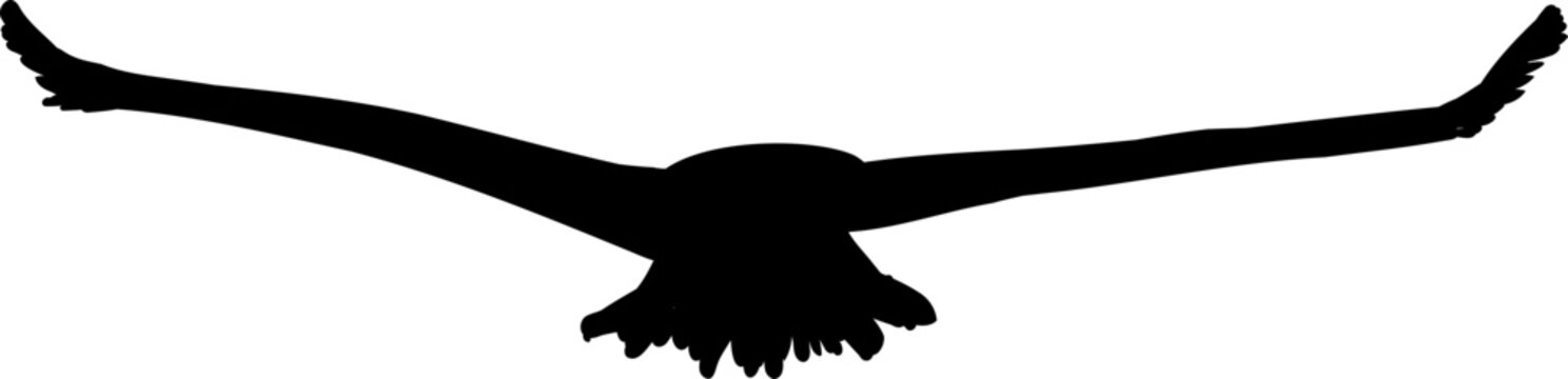 Flying flock of birds silhouette, Simple swallows in flight, crows in the sky. Group of birds border. Vector illustration