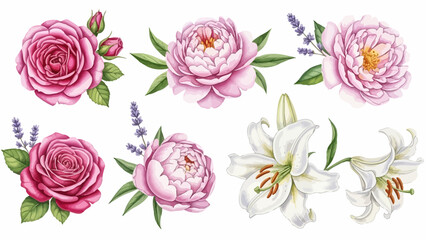 Luxury Watercolor Floral Collection: Peony, Rose, and Lily Illustrations for Wedding & Botanical Design