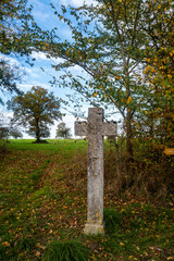 vue d'un paysage avec un arbre et un ciel nuageux dans le centre de la France en Europe