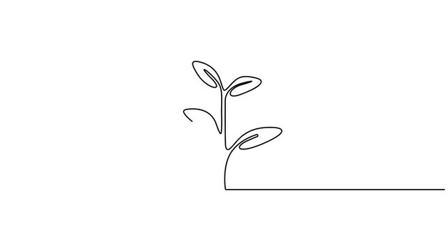 Self animated minimalist, continuous line drawing of a growing sprout