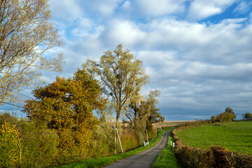 vue d'un paysage avec un ciel nuageux dans le centre de la France en Europe