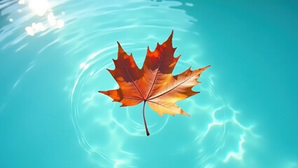 Autumnal maple leaf floating on vibrant blue water with ripples