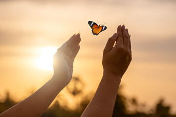 Butterfly Resting on Finger Tip Against Golden Sunset Sky. Butterfly resting finger tip hand touch freedom inspiration nature concept hope serenity golden sunset sunrise silhouette sky background
