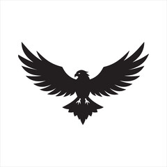 eagle with wings and silhouette vector