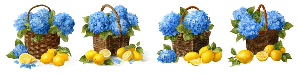 Watercolor hydrangea flowers with lemons in a wicker basket. Summer Mediterranean illustration with blue bouquets, perfect for posters. Italian summer vibe. Vector illustration