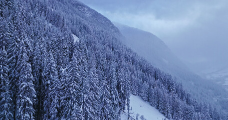 Aerial photo of snowy alpine peaks in Austria with a morning mist. Spruce forests in the foreground create a peaceful winter atmosphere.