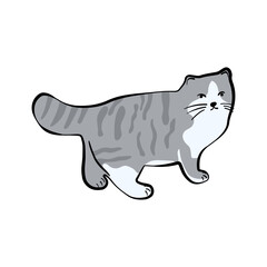 A cute cat is walking. This cartoon kitten is perfect for stickers, stationery, prints, and animal-themed designs.